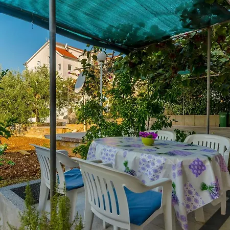 Maslina * Trogir